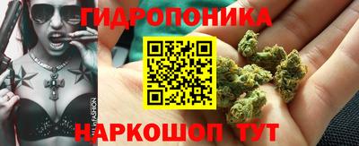 мдпв Мариинск