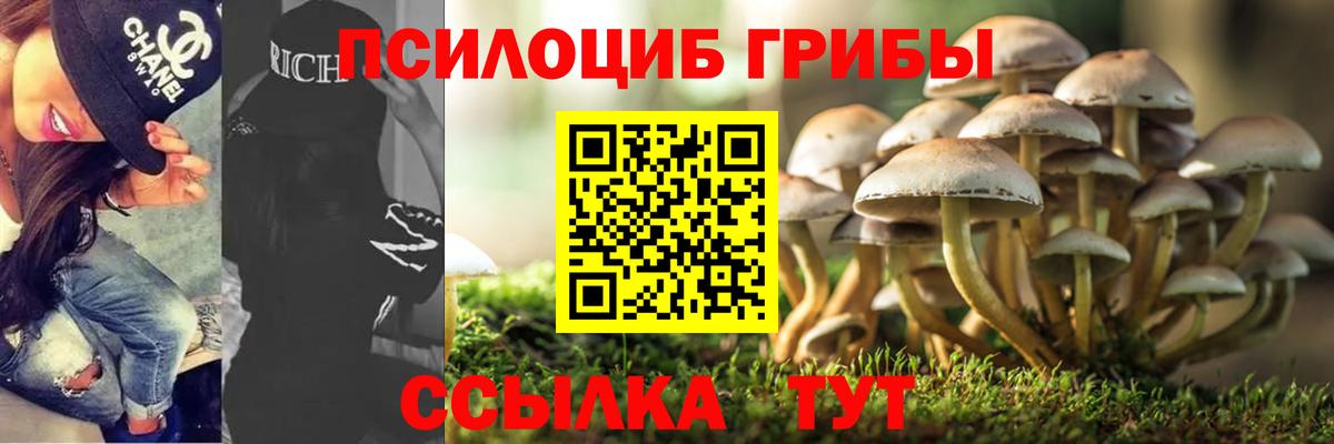 Псилоцибиновые грибы мицелий  Вход с VPN  хочу   Ейск 